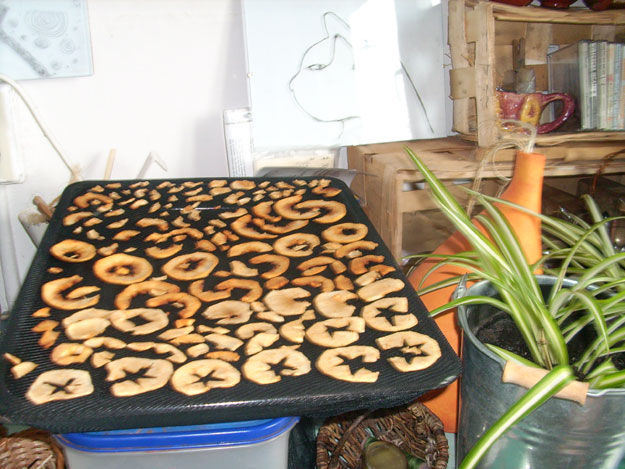 Bild 4 - Nackenrolle